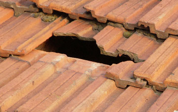 roof repair Burlestone, Devon